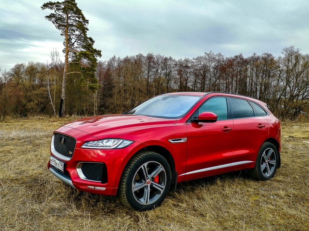 fpace_-2.jpg fpace_-2.jpg