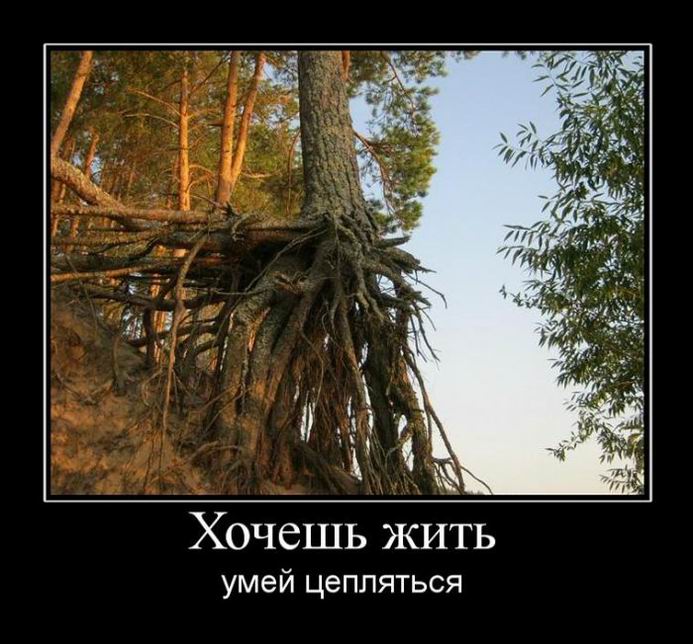 Демотиваторы, правильный фотограф... Демотиваторы, правильный фотограф...