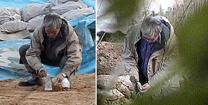 12 самых интересных и забавных мистификаций, устроенных учёными