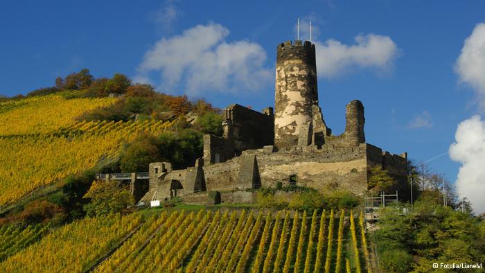    - Burg Fürstenberg