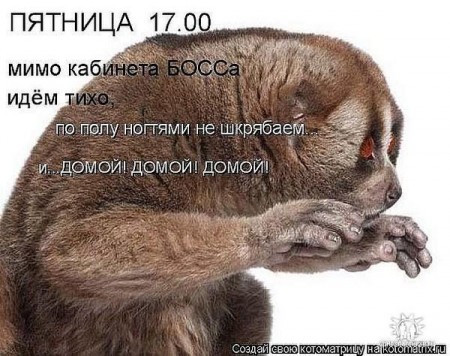 П'ятниця - дадому, додому, домой, п'ятниця, пятница, пятніца