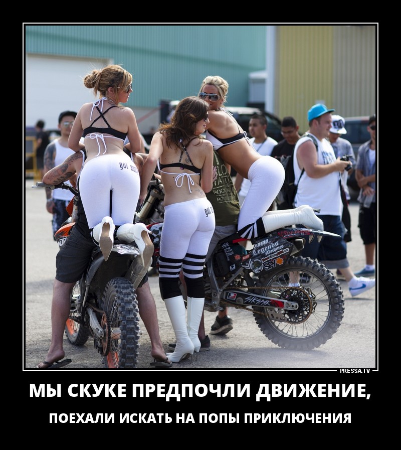 ДЕМОТИВАТОРЫ + ДЕМОТИВАТОРЫ +