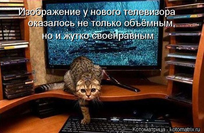 Котоматрицы великолепные, каждая с кусочком тепла, позитива и улыбкой! Котоматрицы великолепные, каждая с кусочком тепла, позитива и улыбкой!