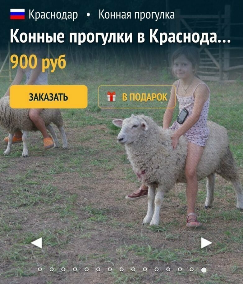 Именно конные Когда уже ничем не удивишь
(16 фото)