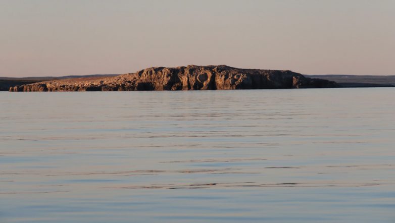 Остров Вайгач: суровое обаяние Русского Севера