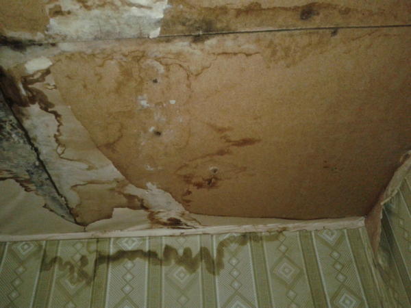 еще более страшные места на потолке показывать не буду - чтобы не пугать вас))