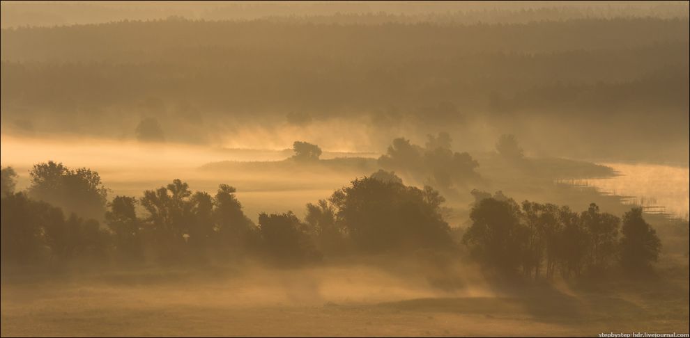 fog21 Королевство туманов