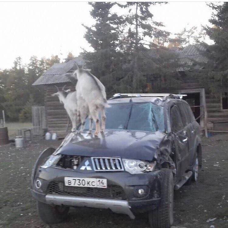 Я бы спросил, что здесь происходит, но боюсь узнать правду Я бы спросил, что здесь происходит, но боюсь узнать правду