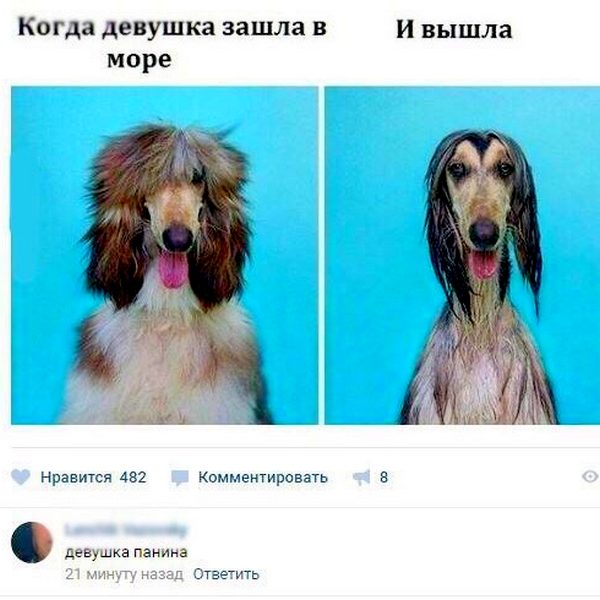 Эти шедевры от народных комментаторов поднимут настроение на всю неделю