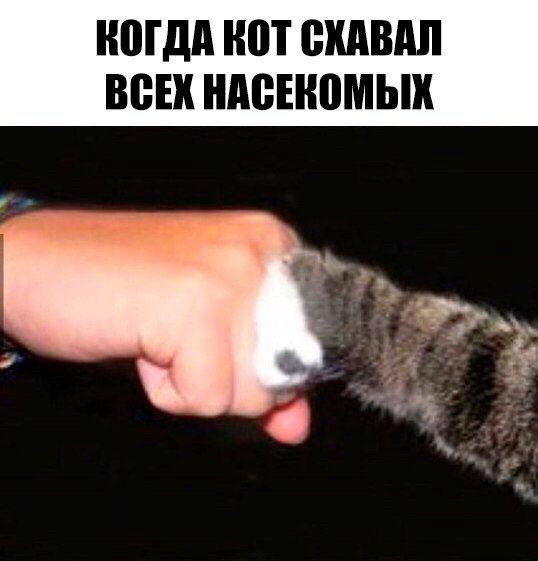 Прикольные картинки и фотографии с надписями (11 фото) Прикольные картинки и фотографии с надписями (11 фото)