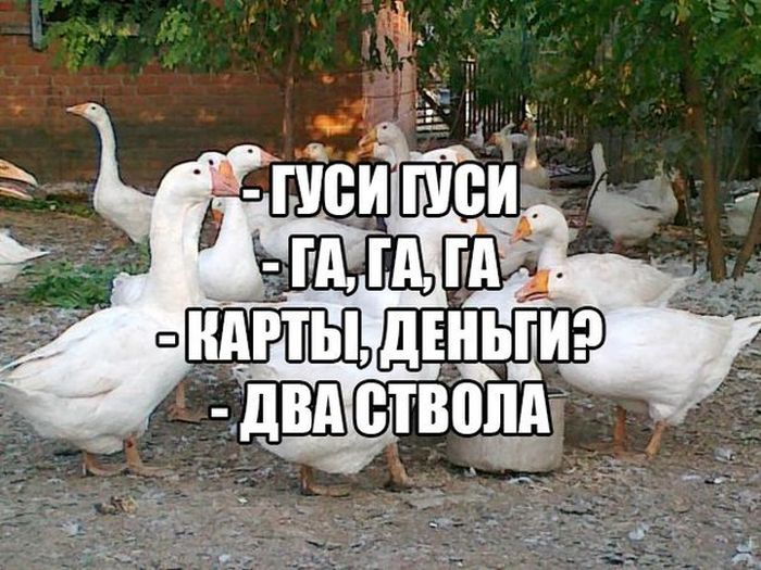 Немного юмора Немного юмора