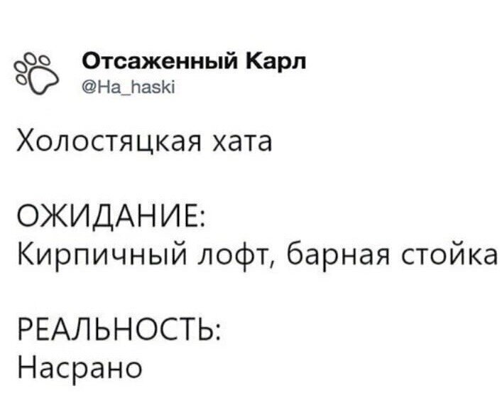 Чем наполнены дни и ночи холостого мужчины Чем наполнены дни и ночи холостого мужчины
(19 фото)