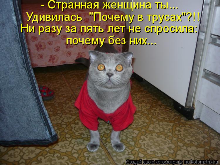 Ура!! Пятница - котоматрица!!! Ура!! Пятница - котоматрица!!!