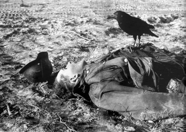 Агония. Май 1945 г. Агония. Май 1945 г.
