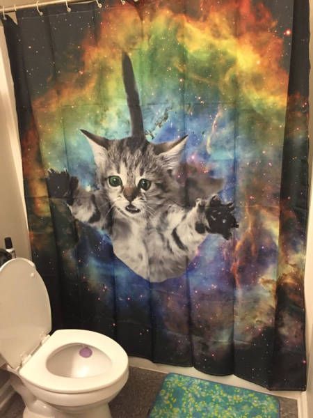 Прикольные картинки для всех (47 шт) Прикольные картинки для всех (47 шт)