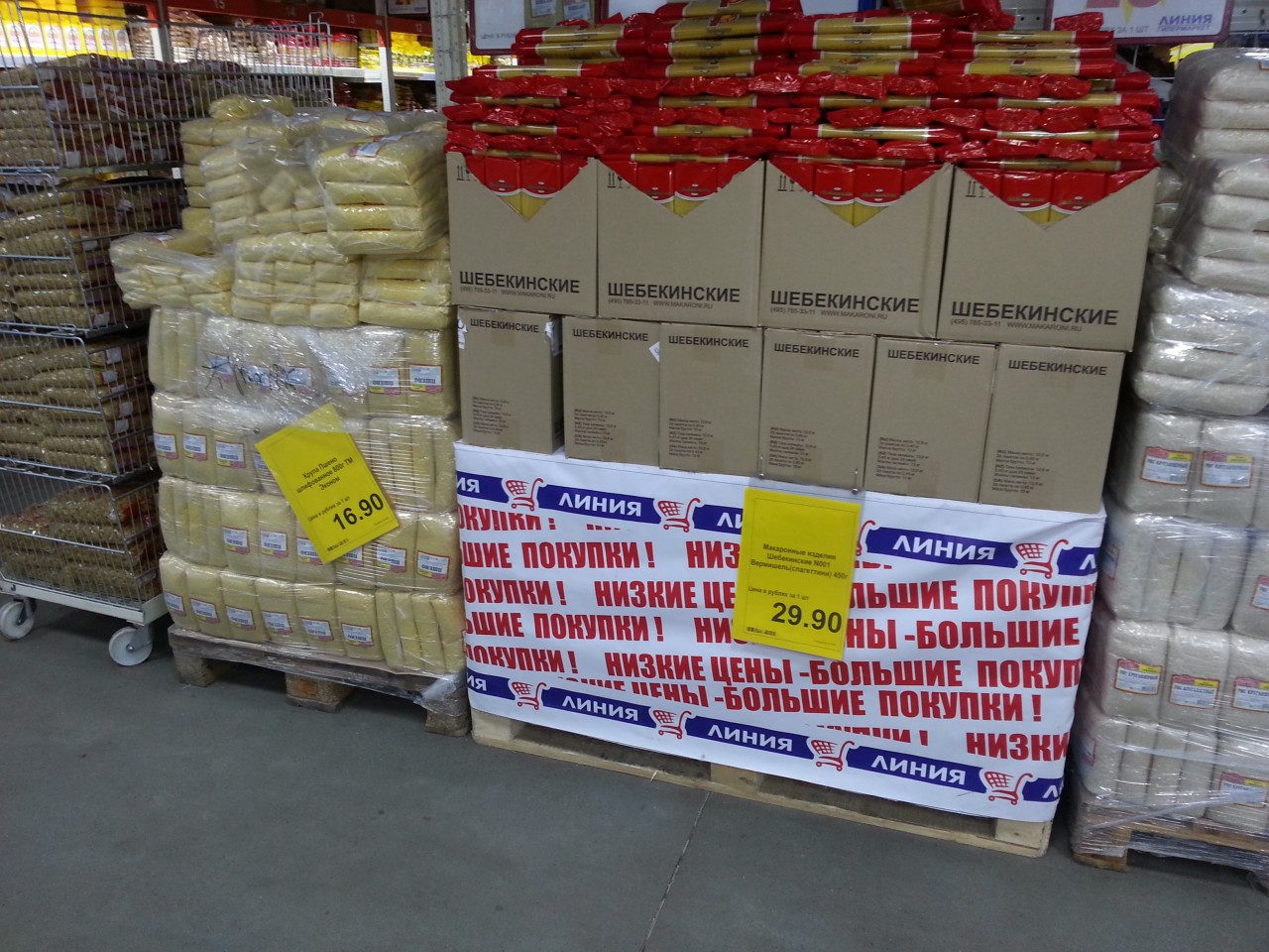 Голодающая РФ-ия. Клацающий зубами Липецк. Ёжики, в ужасе разбегающиеся по кустам при виде голодных людей.