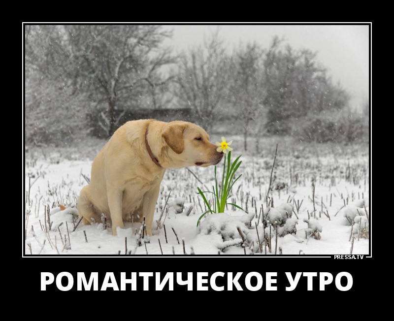 Новые позитивные демотиваторы о жизни Новые позитивные демотиваторы о жизни