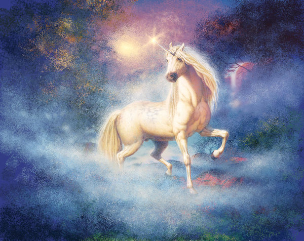 unicorn-splendour-steve-read.jpg