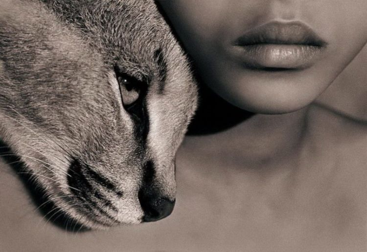 Люди и животные в фотографиях Gregory Colbert