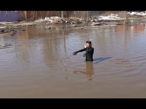Лужа за сто миллионов. Лужа за сто миллионов.