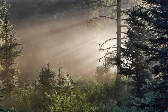 Фотографии с красотами Байкала  (65 фото)