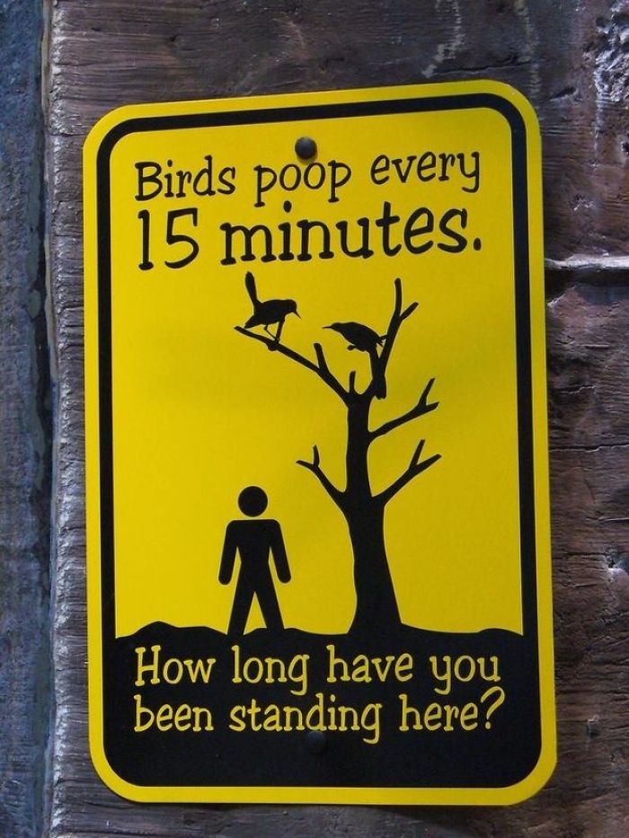 Funny Zoo Sign