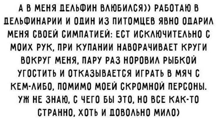 18 уморительных приколов для отличного настроения. Заряд позитива на весь день