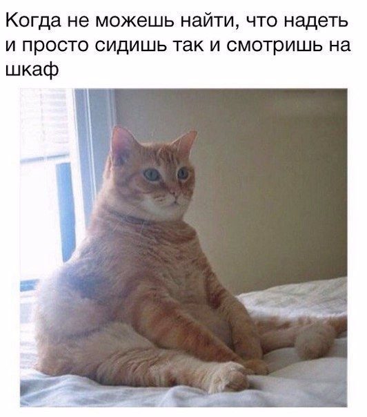 Просыпаясь знает что надеть Просыпаясь знает что надеть