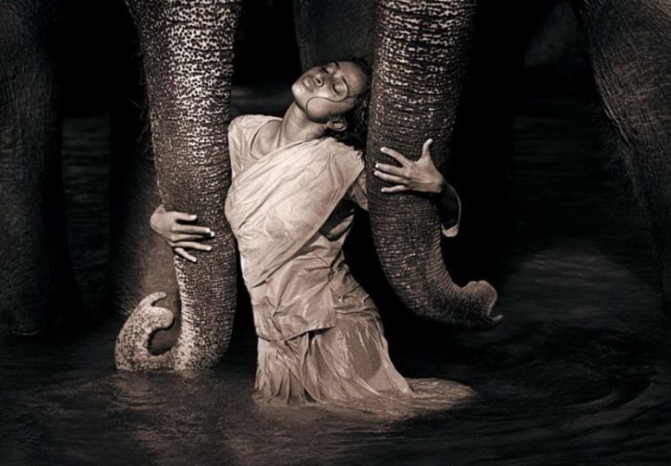 Люди и животные в фотографиях Gregory Colbert