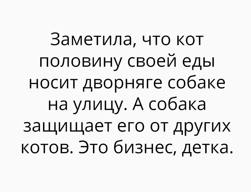 Смешные комментарии из социальных сетей-38 фото- Смешные комментарии из социальных сетей-38 фото-