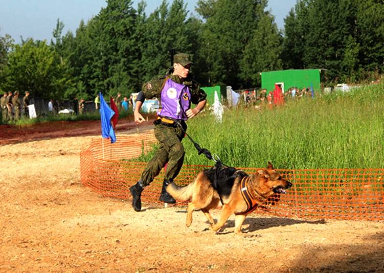Конкурс верный друг дмитров Конкурс верный друг дмитров