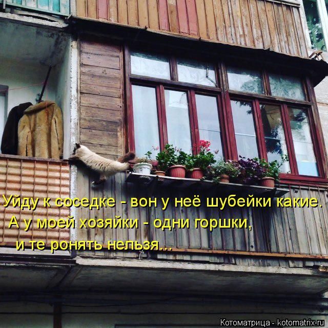 Лучшие котоматрицы за прошедшую неделю)) Лучшие котоматрицы за прошедшую неделю))