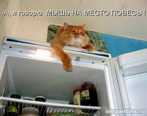 повесь на место мышь