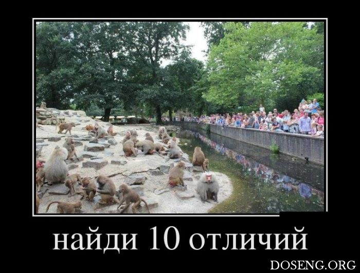 Демотиваторы Демотиваторы