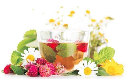 http://cs7010.vk.me/c7008/v7008230/21f13/bMvOXIorNGQ.jpg