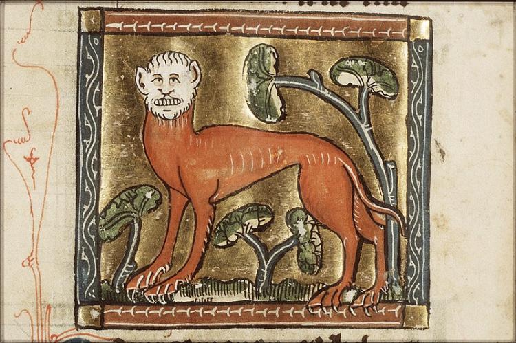 Как в Средневековье рисовали заморских зверей, которых художники никогда не видели