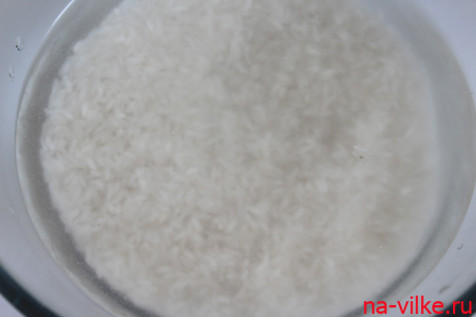 рис в воде