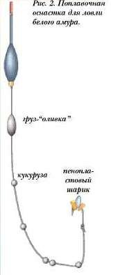 Поплавочная снасть 