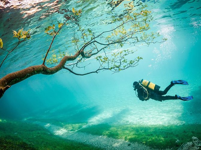 Лучшие фотографии National Geographic Лучшие фотографии National Geographic