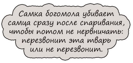 Жена стоя на подоконнике орет мужу...