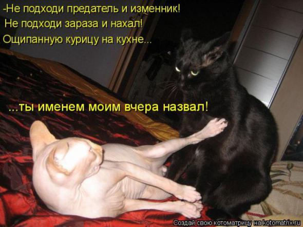 �����������(�������� � ���������)