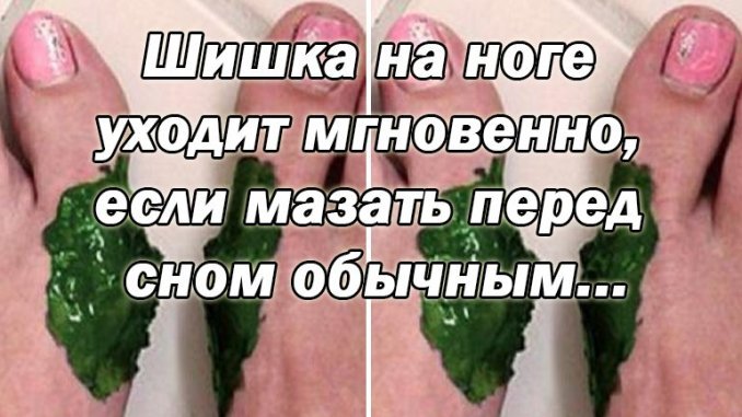 Без-имени-1-2