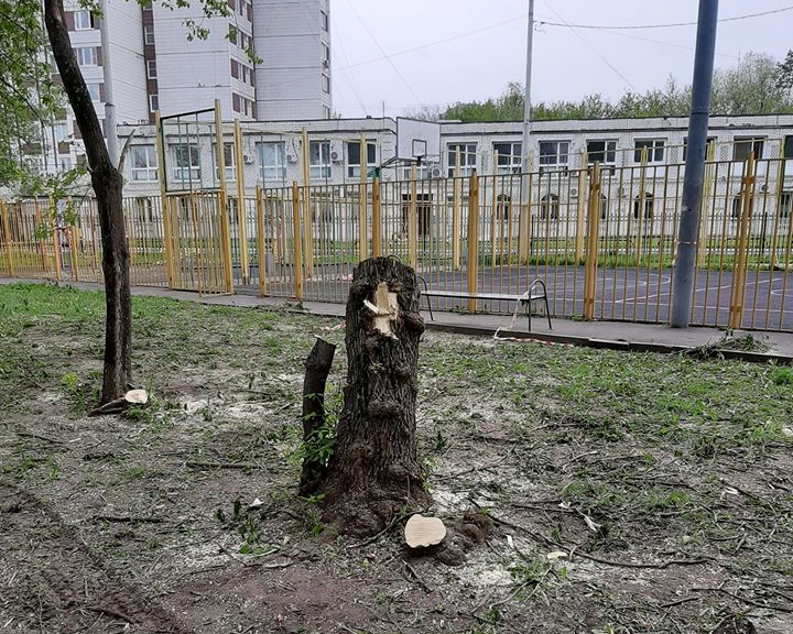 Коммунальные службы по просьбе жителей спилили аварийные деревья на Сельскохозяйственной улице