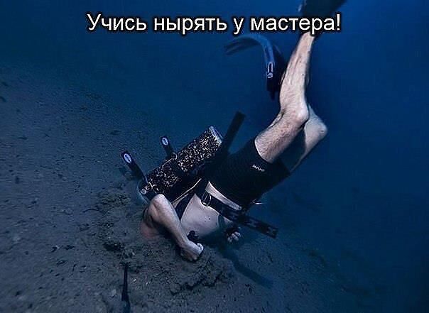 http://mtdata.ru/u16/photo572A/20693212408-0/original.jpg#20693212408