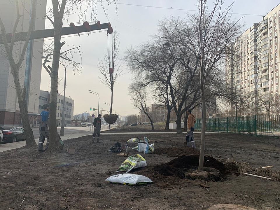 Деревья-крупномеры украсили 2-й Южнопортовый проезд