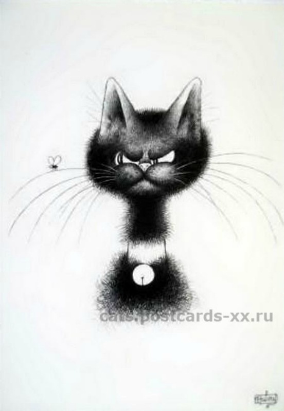 ИзоКОТЫ