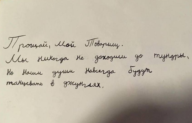 Иностранцы рассказали о самых странных особенностях русского языка, и с их словами трудно поспорить Иностранцы рассказали о самых странных особенностях русского языка, и с их словами трудно поспорить
