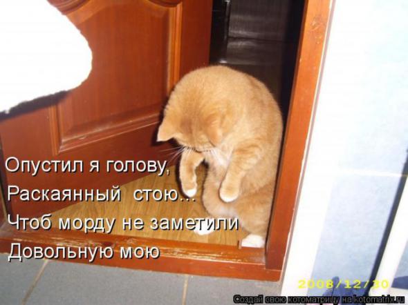 �����������(�������� � ���������)