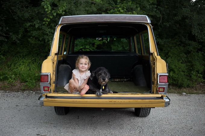 животные, отношения, люди, приют