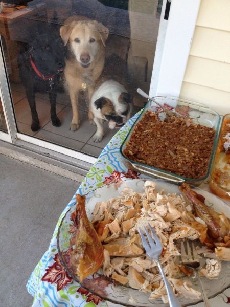 Новый фотоприкол